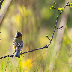 item_1101805_pic_1_orig