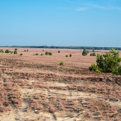 item_1100134_pic_1_orig