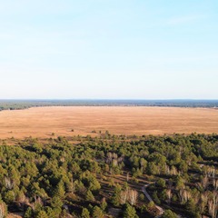 item_1101824_pic_1_orig